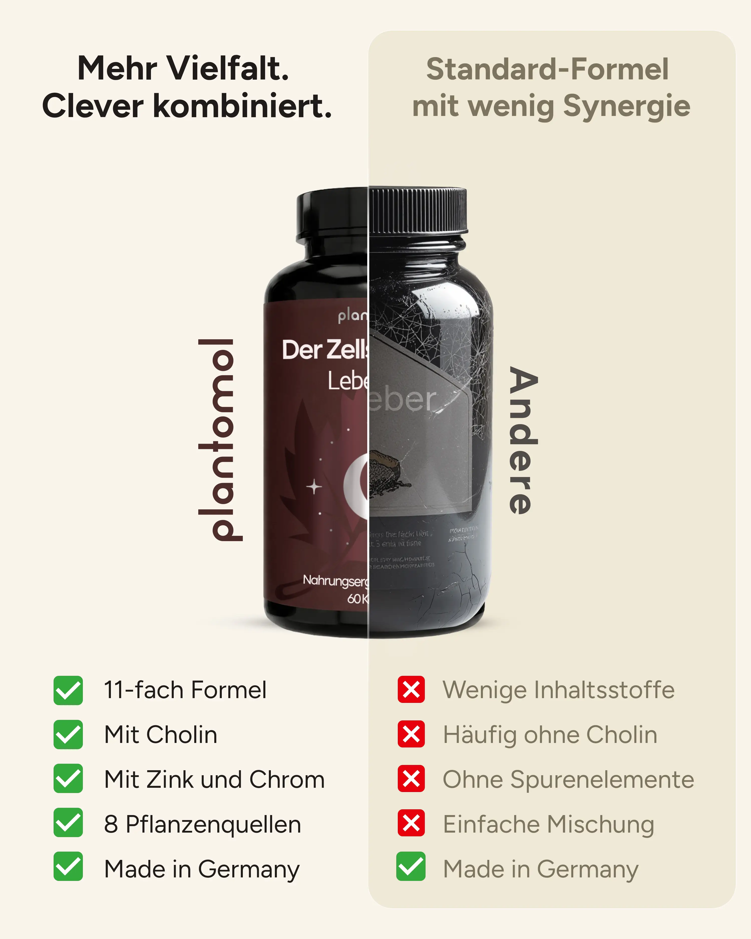 plantomol Leberkur 2-Phasen-System